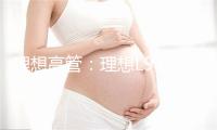 理想高管：理想L9 Livis的800V全主动悬架难度非常大 国内没有一家供应商能做出来