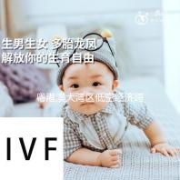 粤港澳大湾区低空经济跨境应用探析