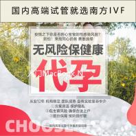 入门MacBook Neo硬跑《红色沙漠》：50帧达成！就是画质惨不忍睹