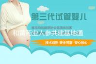 和黄药业人参共建基地通过"三无一全"现场核查