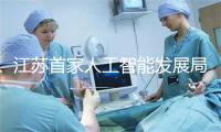 江苏首家人工智能发展局挂牌成立