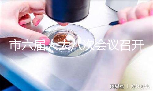 市六届人大八次会议召开规划纲要、计划、预算审查专题会议
