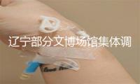 辽宁部分文博场馆集体调整“作息表” 从“我开门”到“您有空”